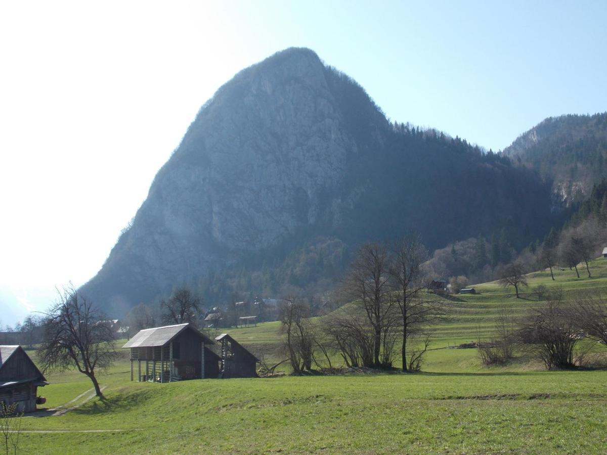 Apartments Joze Pekovec Bohinj Exterior photo