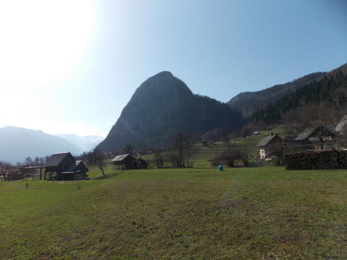 Apartments Joze Pekovec Bohinj Exterior photo